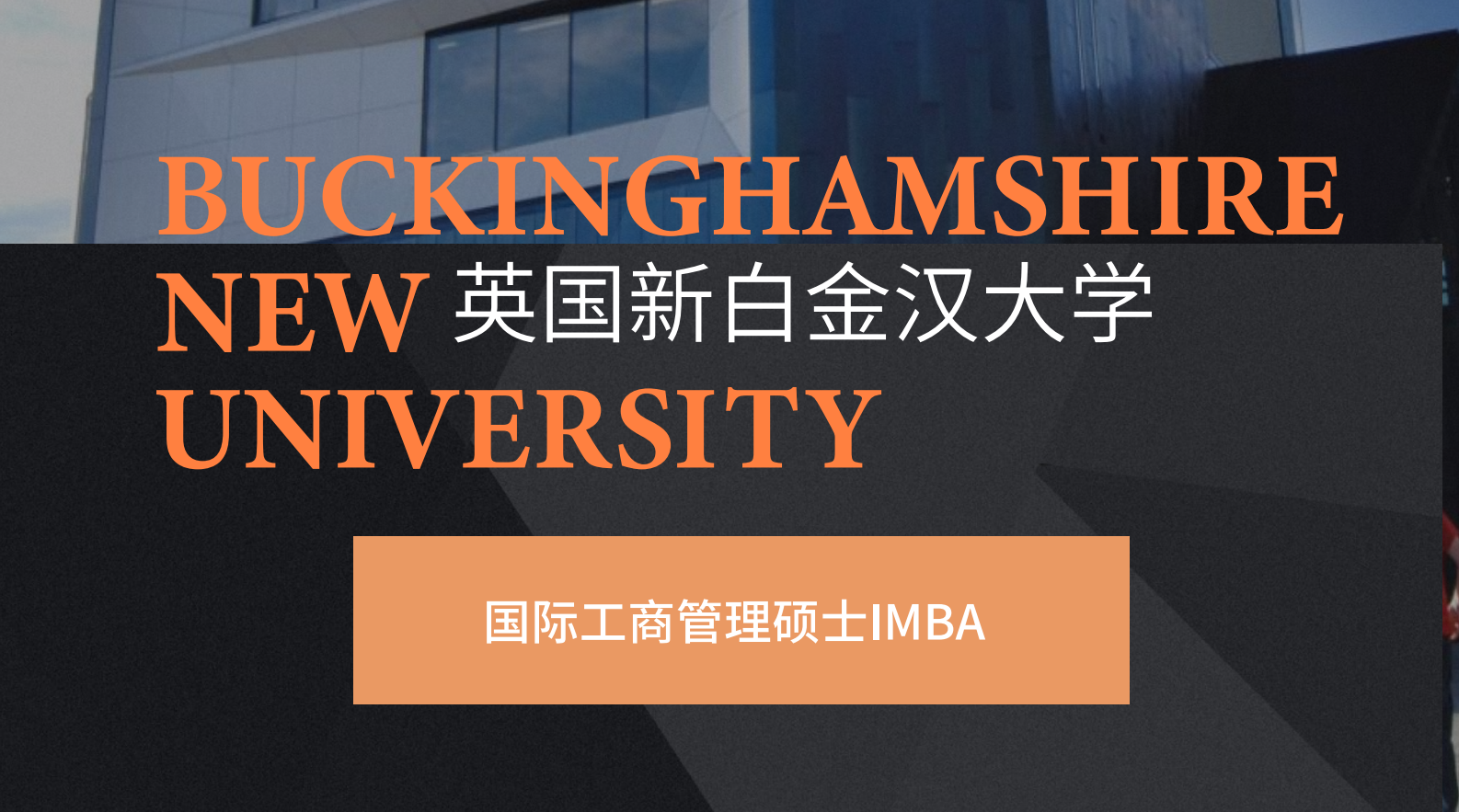 英国新白金汉大学IMBA